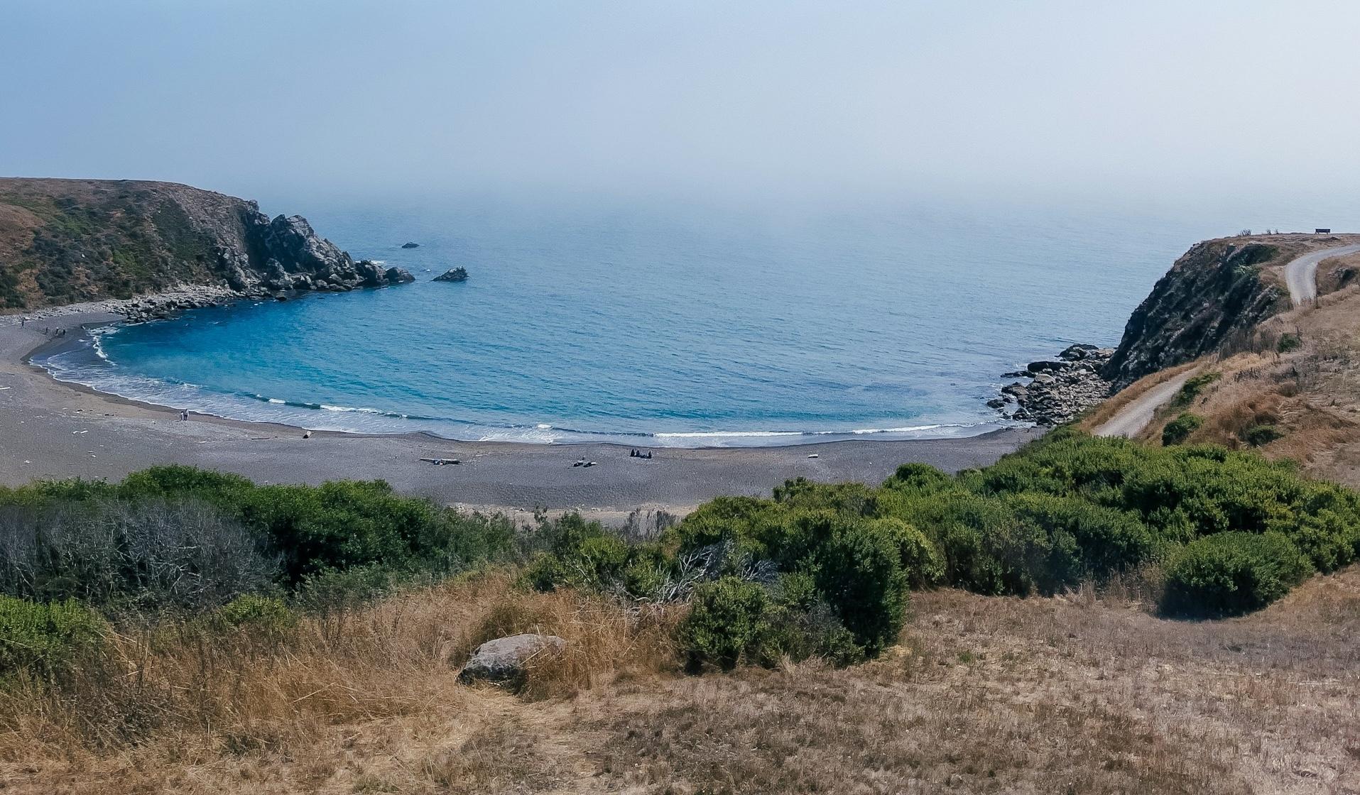 Reliable Pest Control for McKinleyville Properties