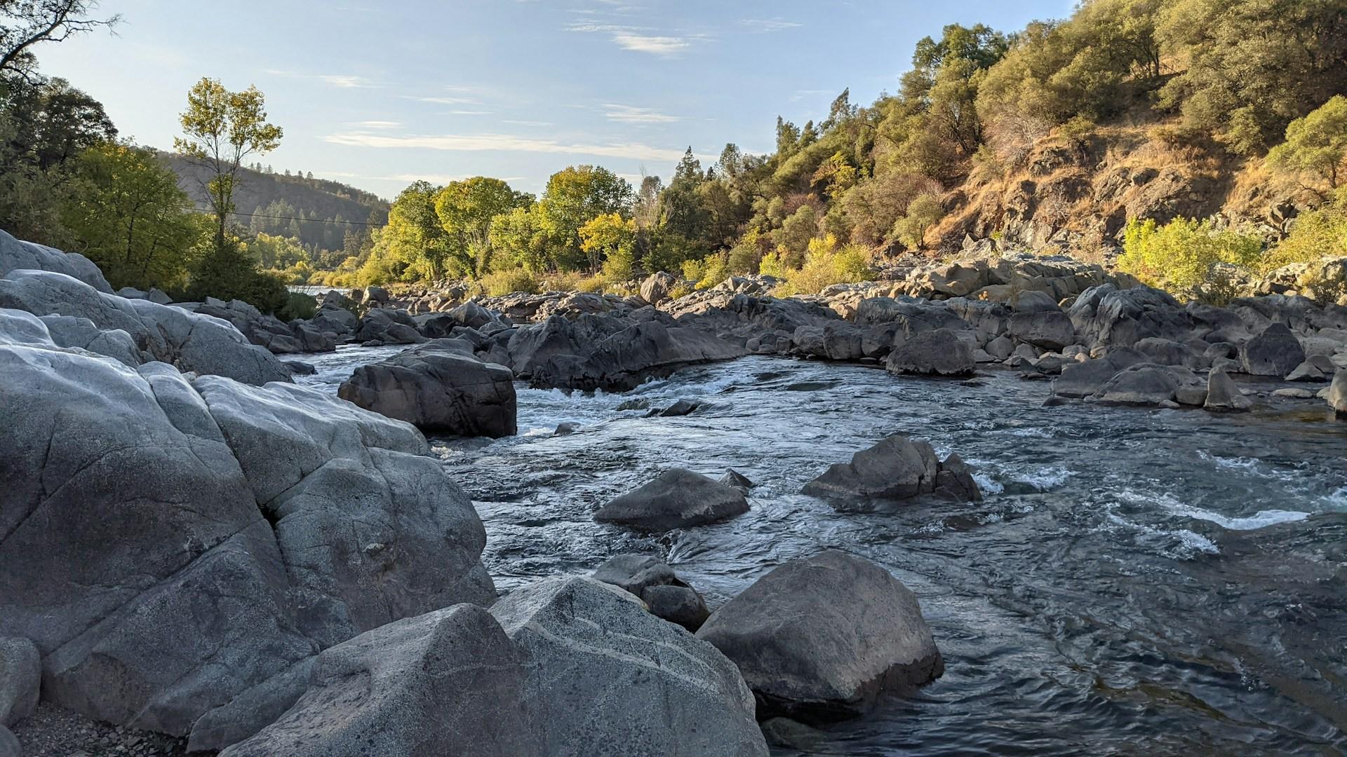 Customized Pest Control for Willow Creek and Surrounding Areas