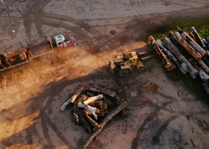 Humboldt County loggers clearing timber. Contact Humboldt Termite & Pest Control for your commercial pest control needs.