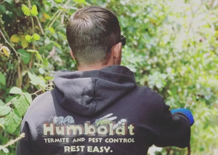 Humboldt Termite & Pest Control technician applying pest control treatment to an Arcata yard