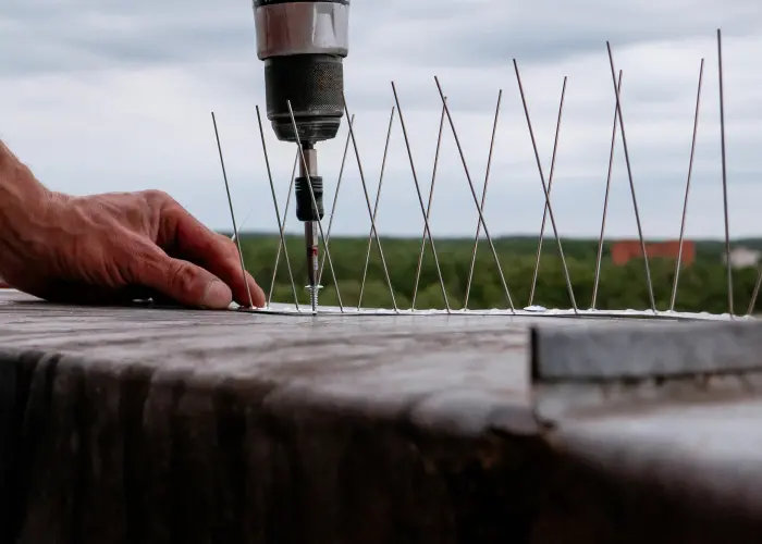 Installing bird spikes on a commercial building. Call Humboldt Termite & Pest Control to prevent unwanted pests from damaging your reputation.