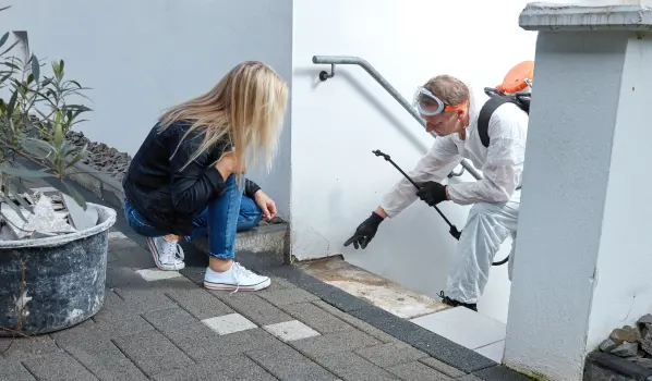 A preventive pest protection inspection as part of Quad-P protection by Humboldt Termite & Pest Control