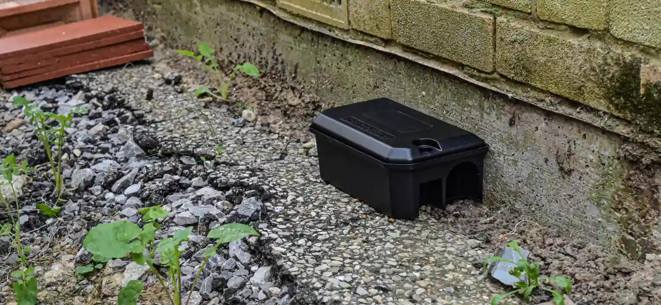 Rodent trap set outside of an Arcata home. Humboldt Termite & Pest Control can help with rat control and removal in Humboldt, Arcata, and the surrounding areas.